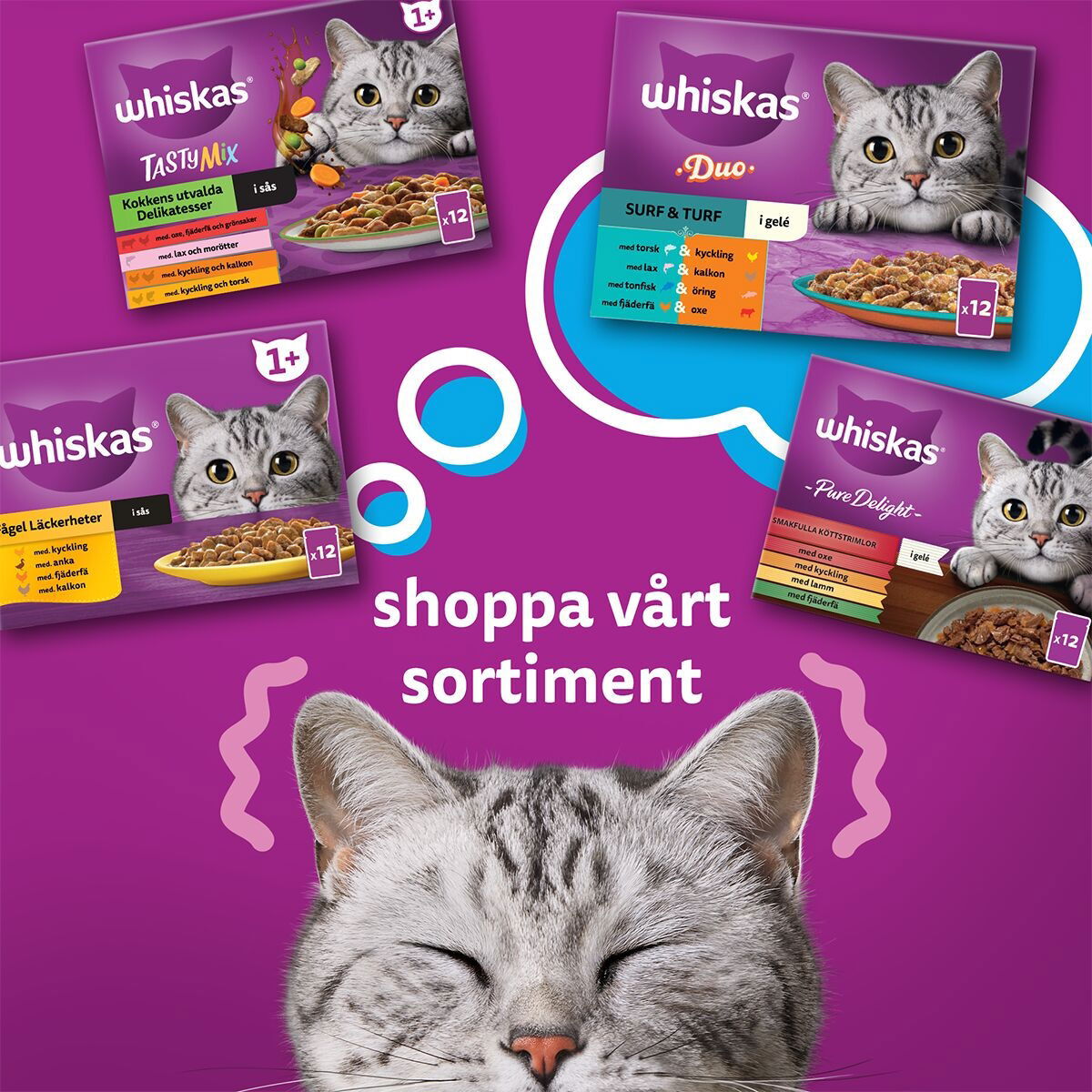 Whiskas 1+ jelly 60x85g