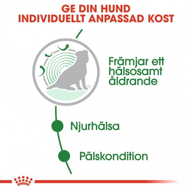 Royal Canin Mini Ageing Gravy våtfoder för hund