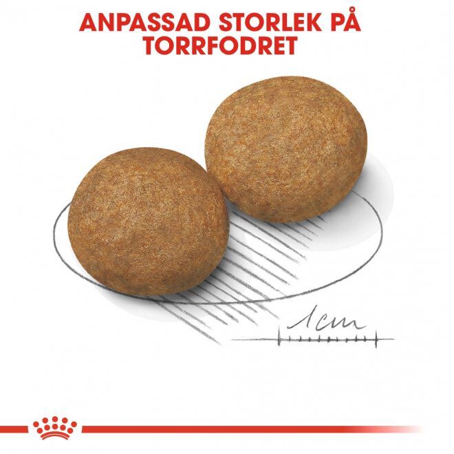 Royal Canin Medium Adult torrfoder för hund