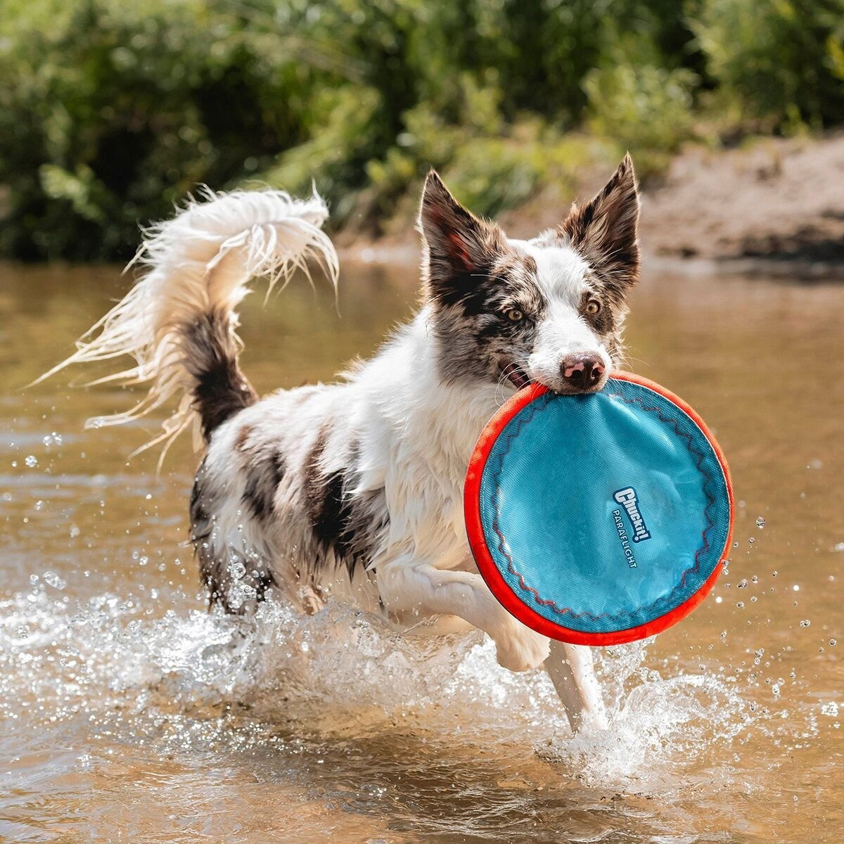 Chuckit MaxGlow Paraflight L