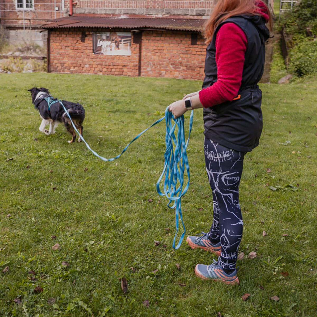 Loype Saxana Tracking Line