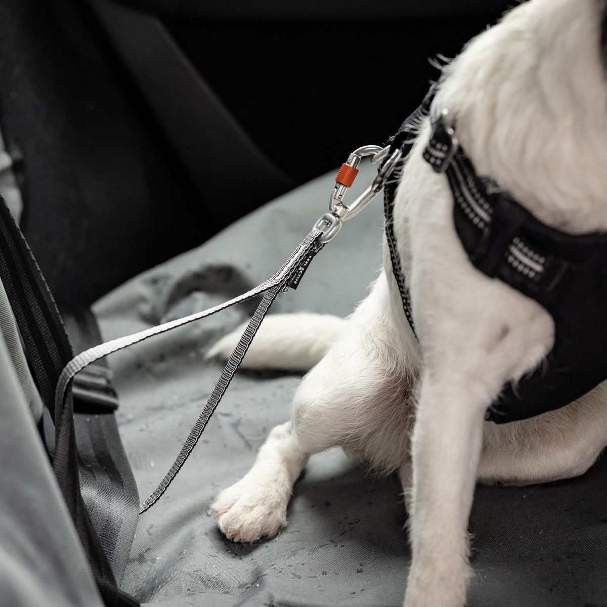 Feel Active Car Heavy Duty seatbelt tether L