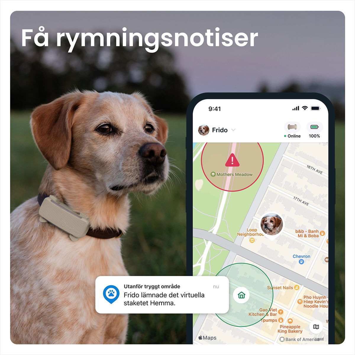 Tractive for DOG 6 tracker