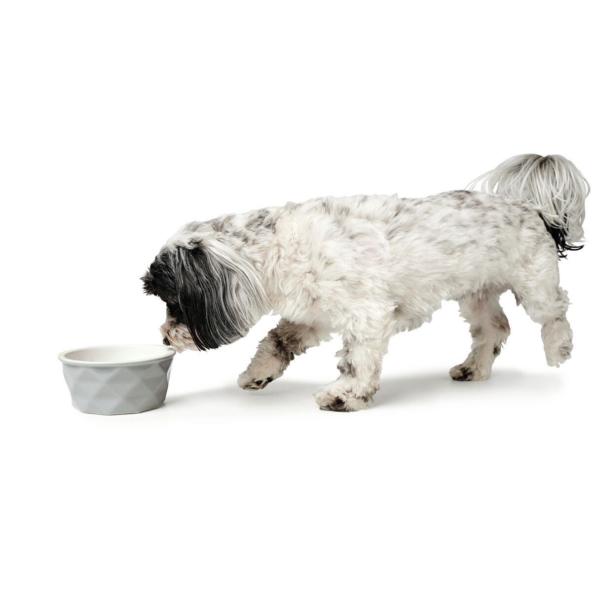 Hunter Ceramic Bowl Eiby Grey