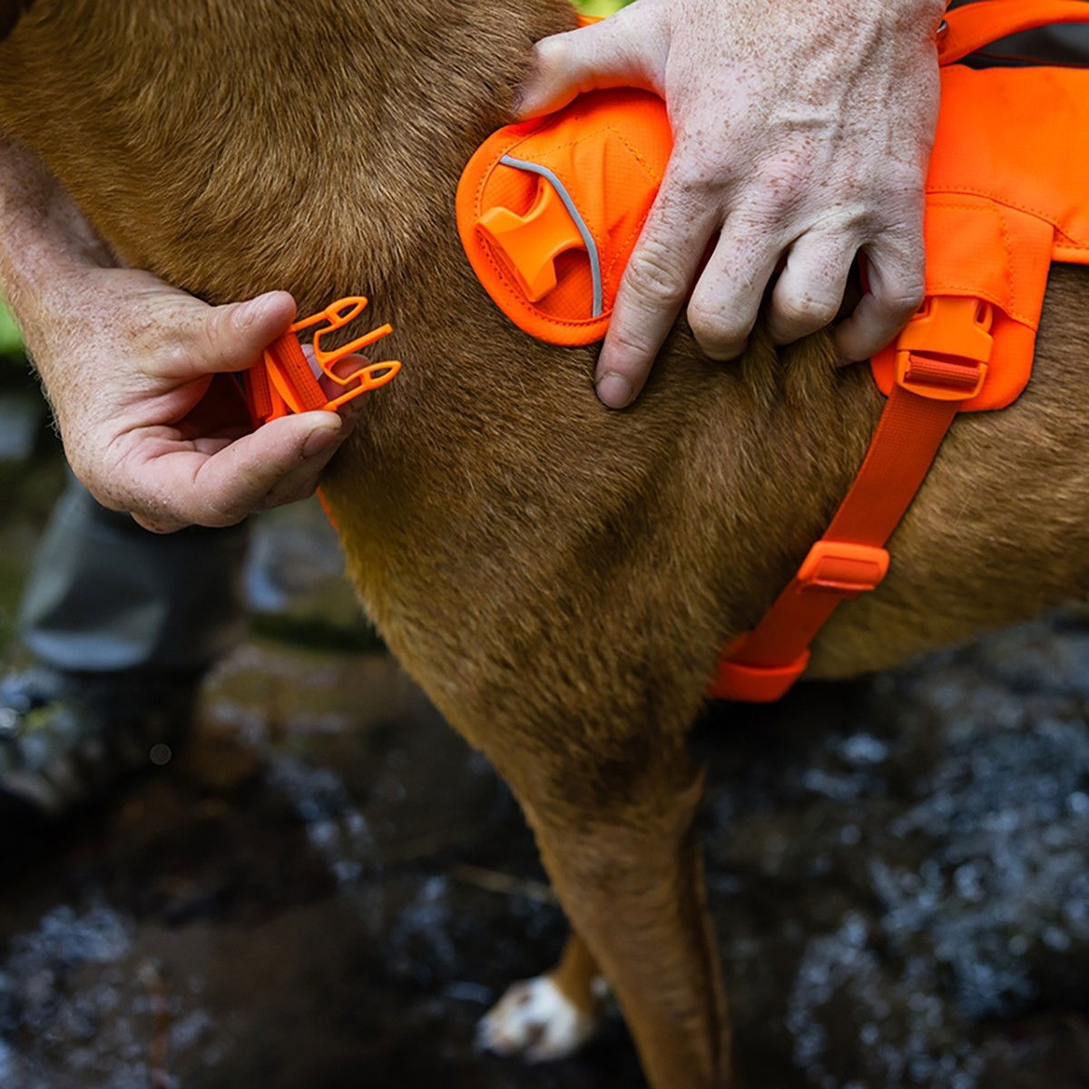 Ruffwear Web Master harness, Blaze Orange