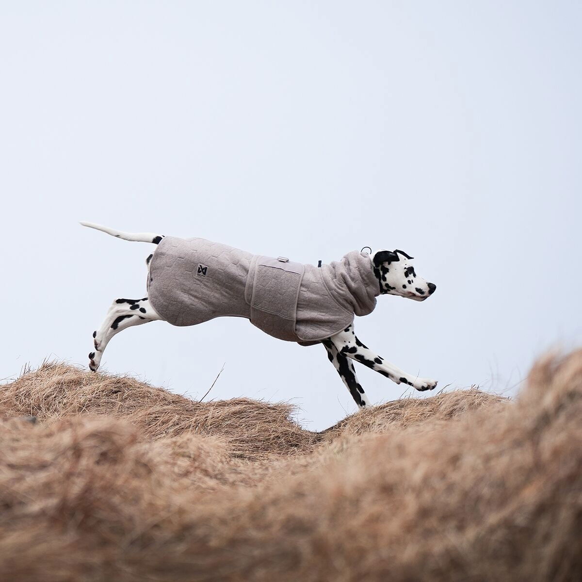 Non-stop dogwear Drying coat sand