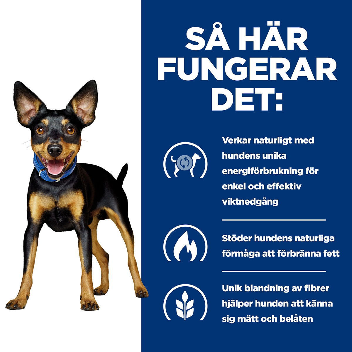 Hill's PD Canine Metabolic Mini Stew Chick&Veg 156g