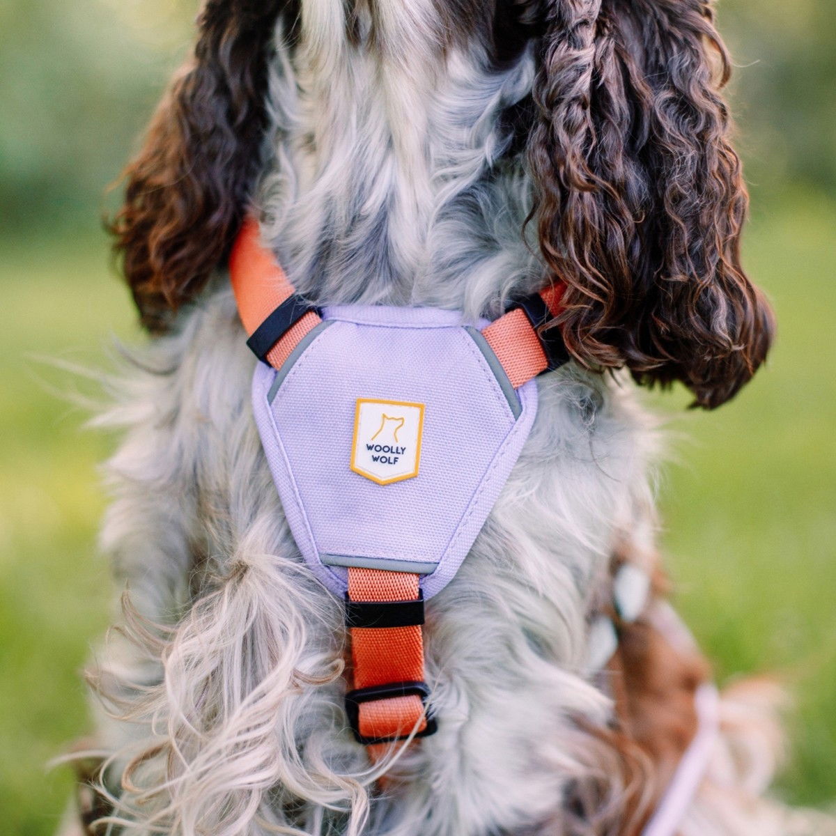 Woolly Wolf Color Block Harness, Salmon Pink Mix