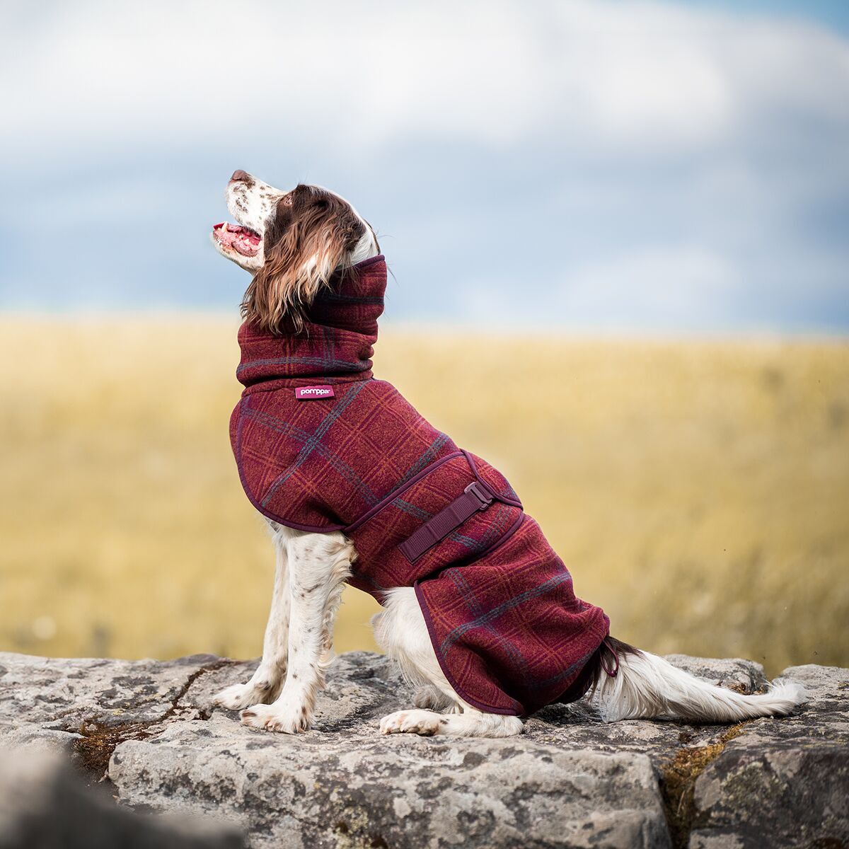 Pomppa Woolie Hundtäcke Maroon