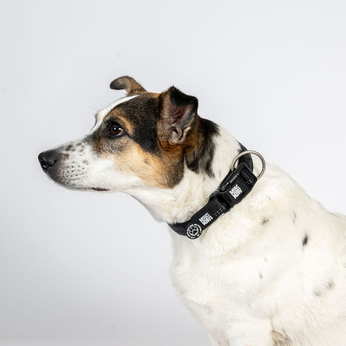 Max&Molly Smart ID Collar Matrix 2.0 Black