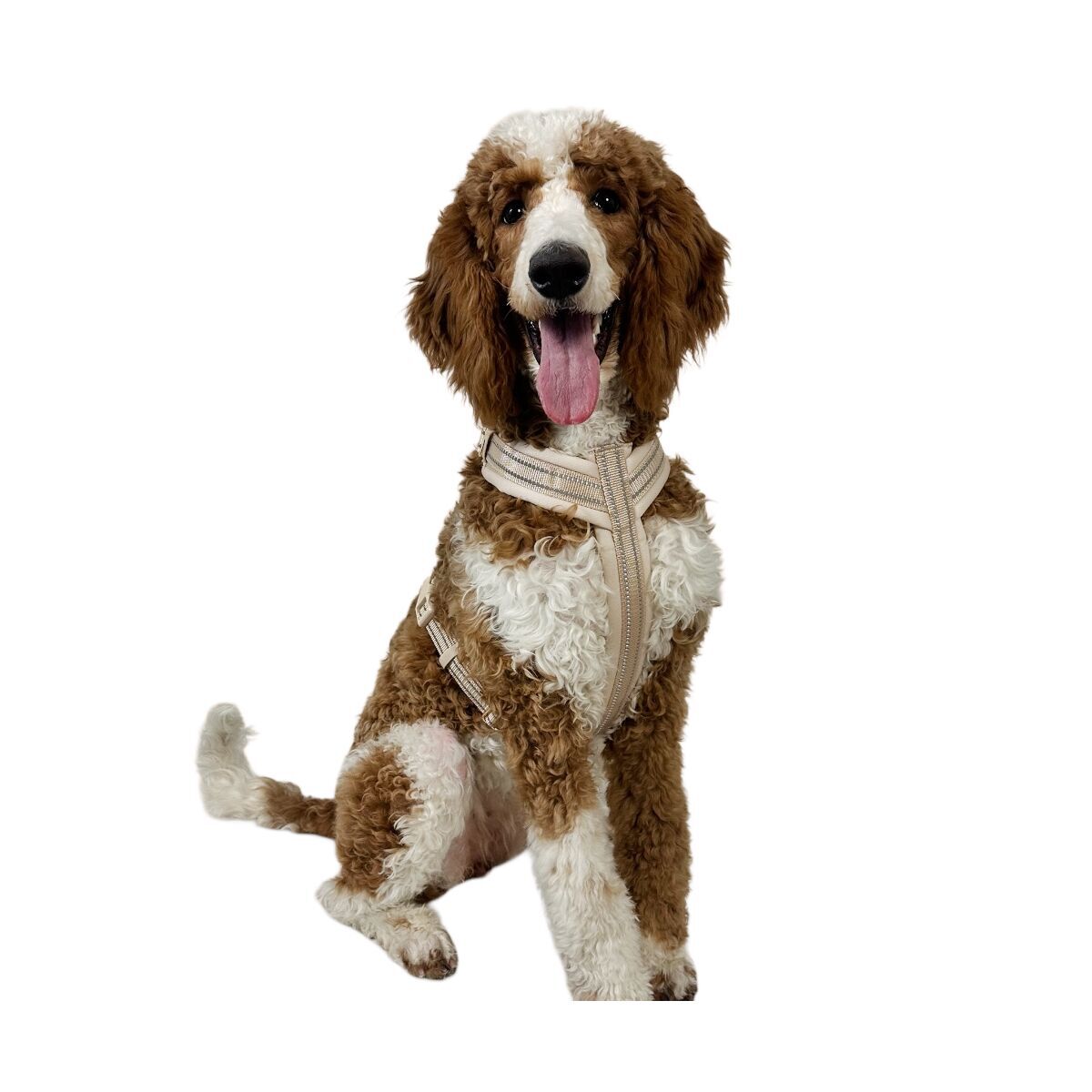 Trufois Comfy Harness Beige