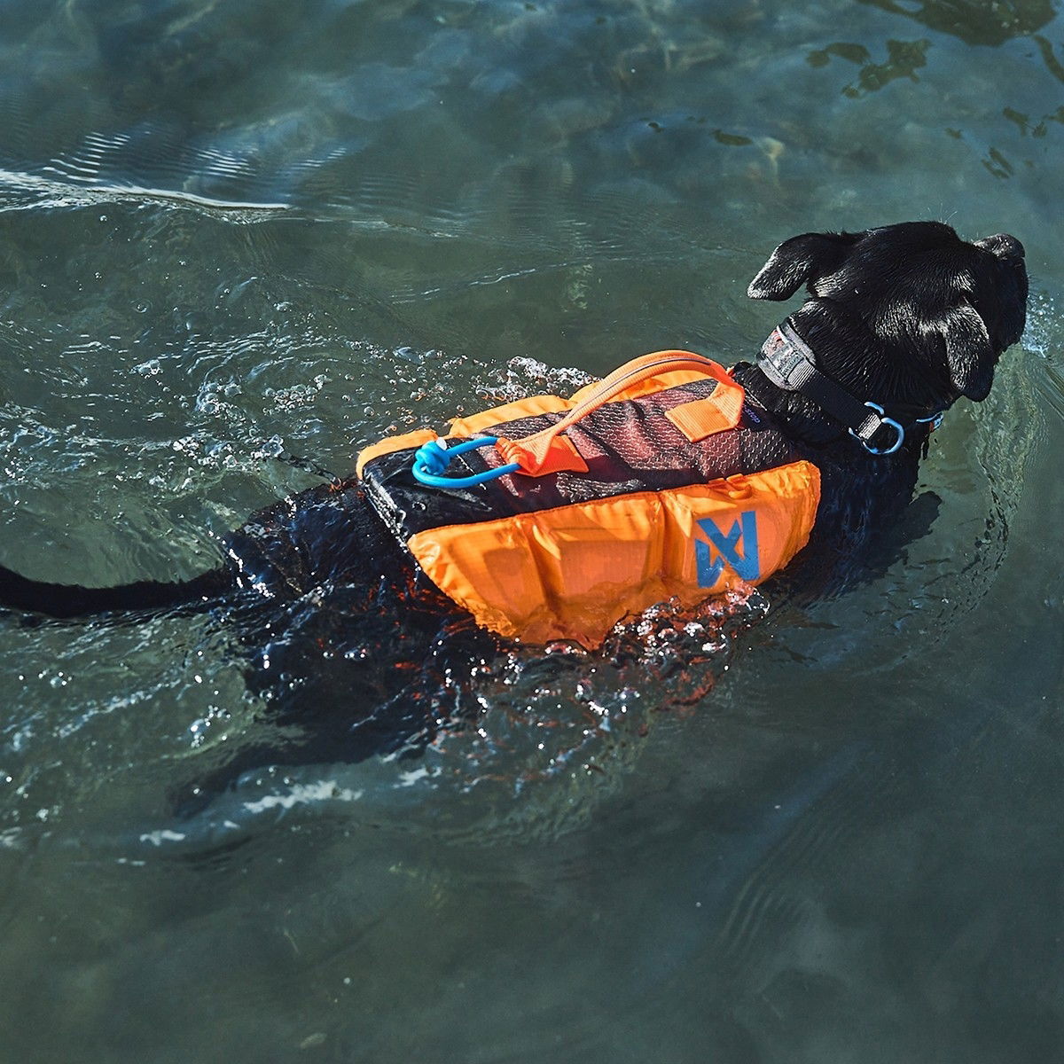 Non-Stop Protector life jacket black/orange