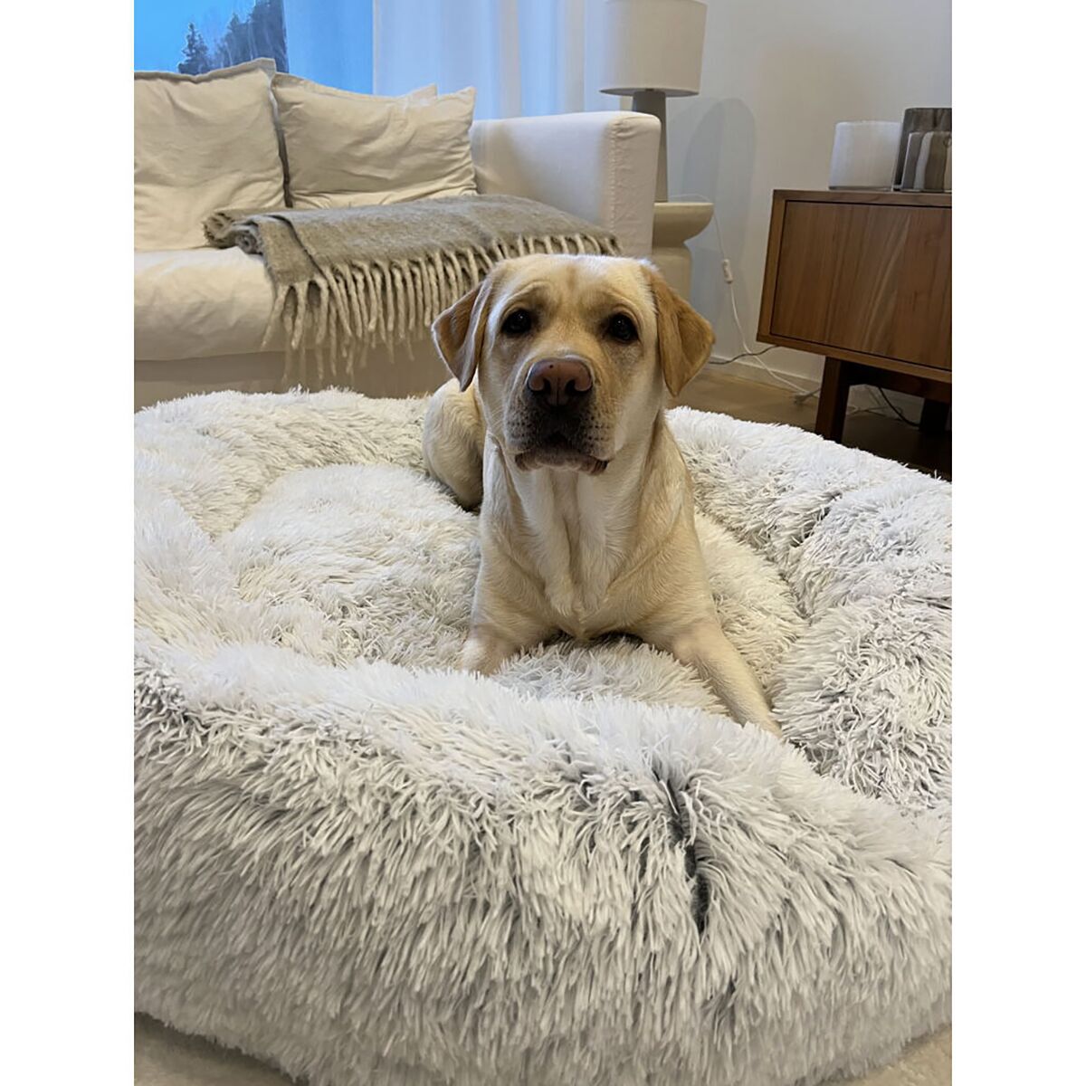 Best Friends by Sheri Donut bed shag, frost