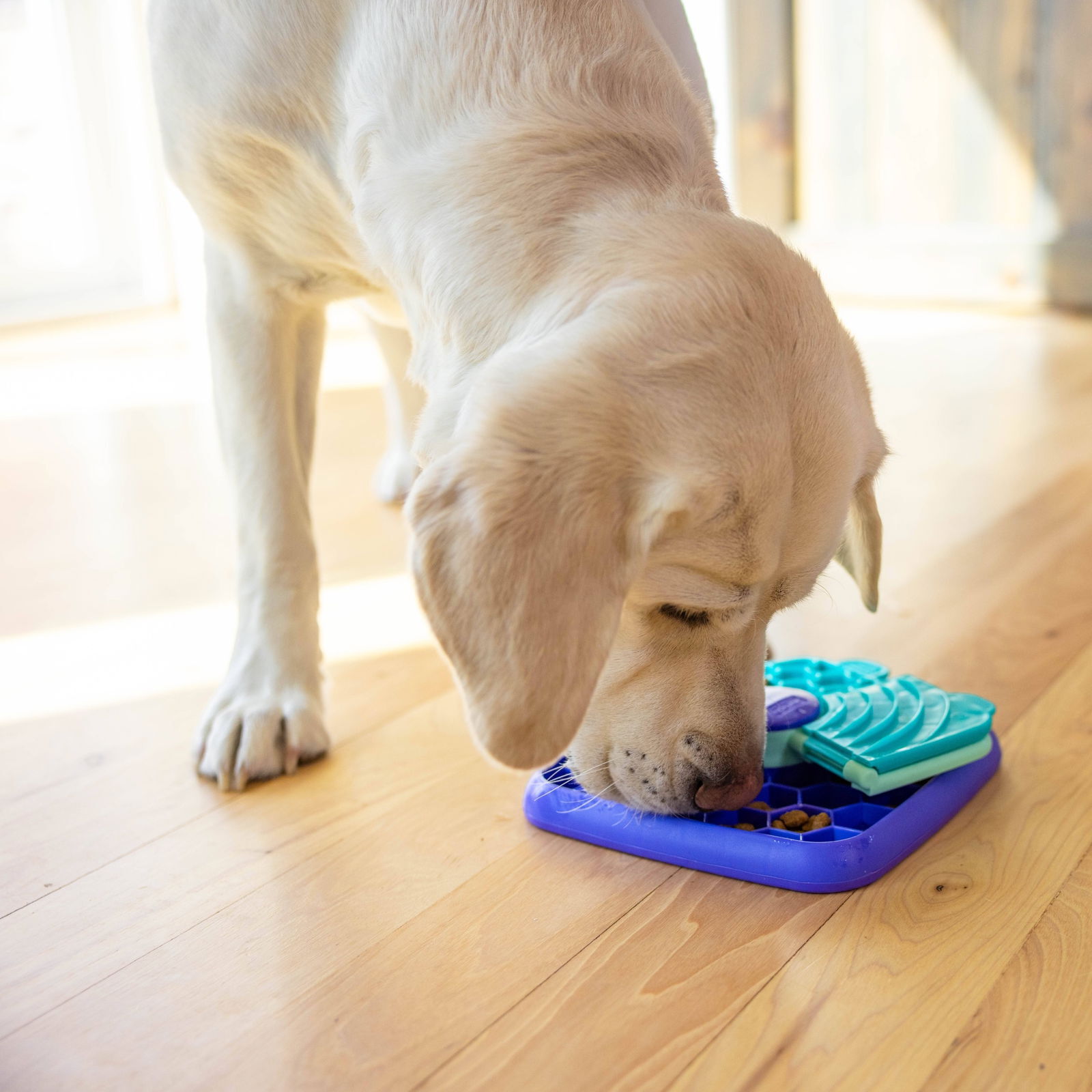 Nina Ottosson Lick N Flip purple S