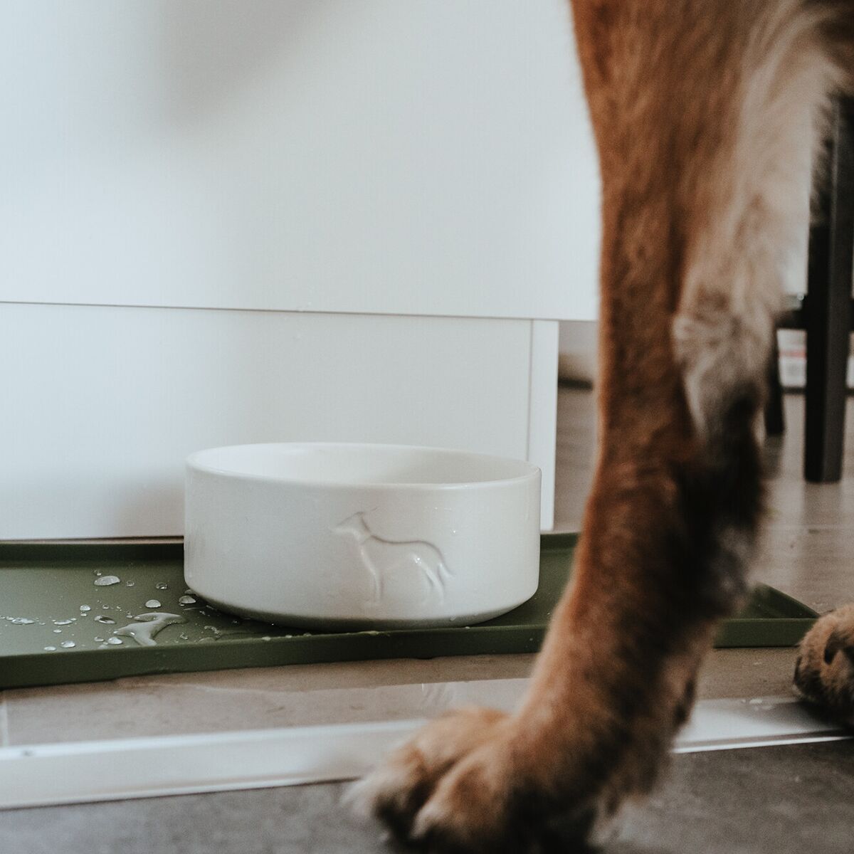 Hunter Food Bowl Base