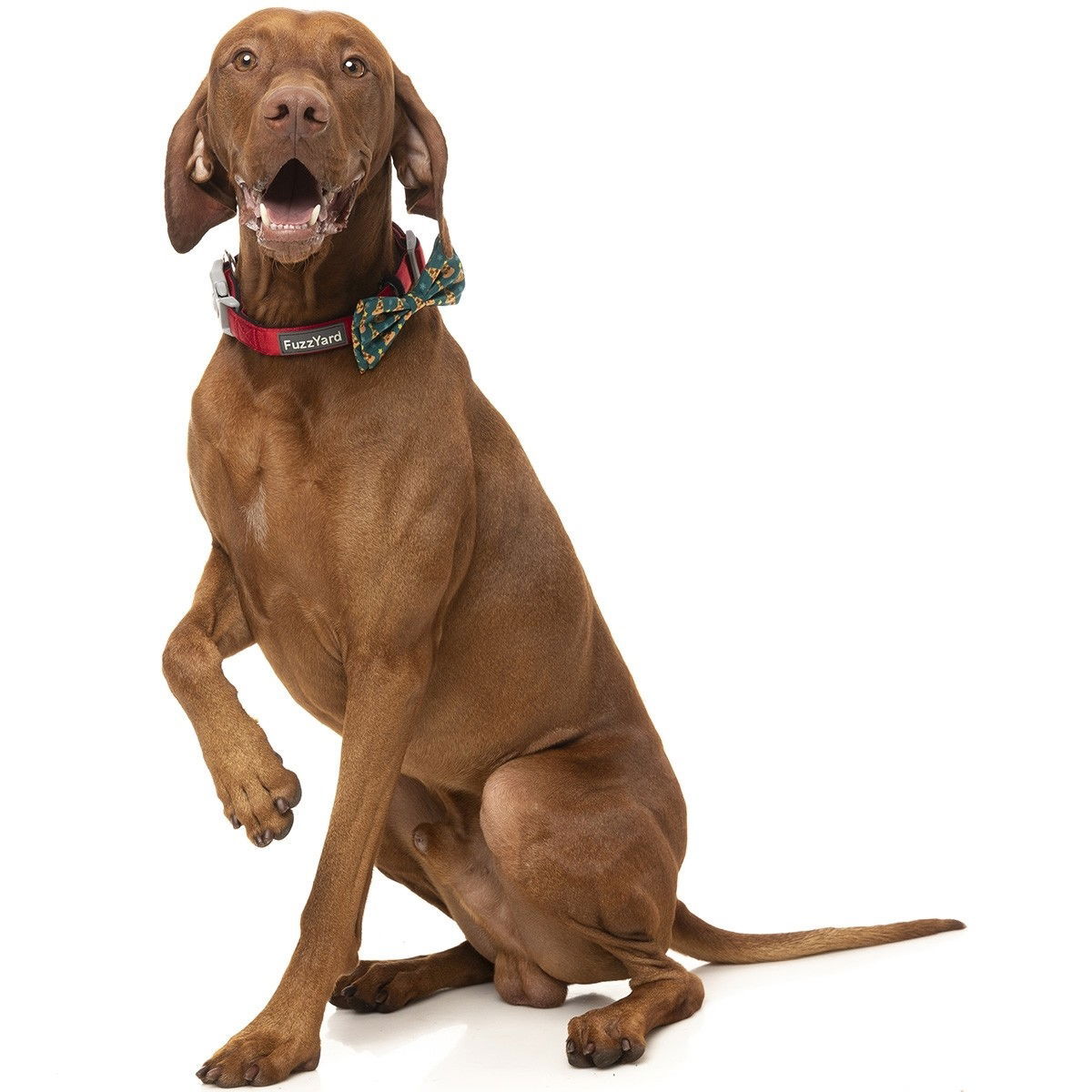 FuzzYard Xmas Bowtie Pizzamas Tree