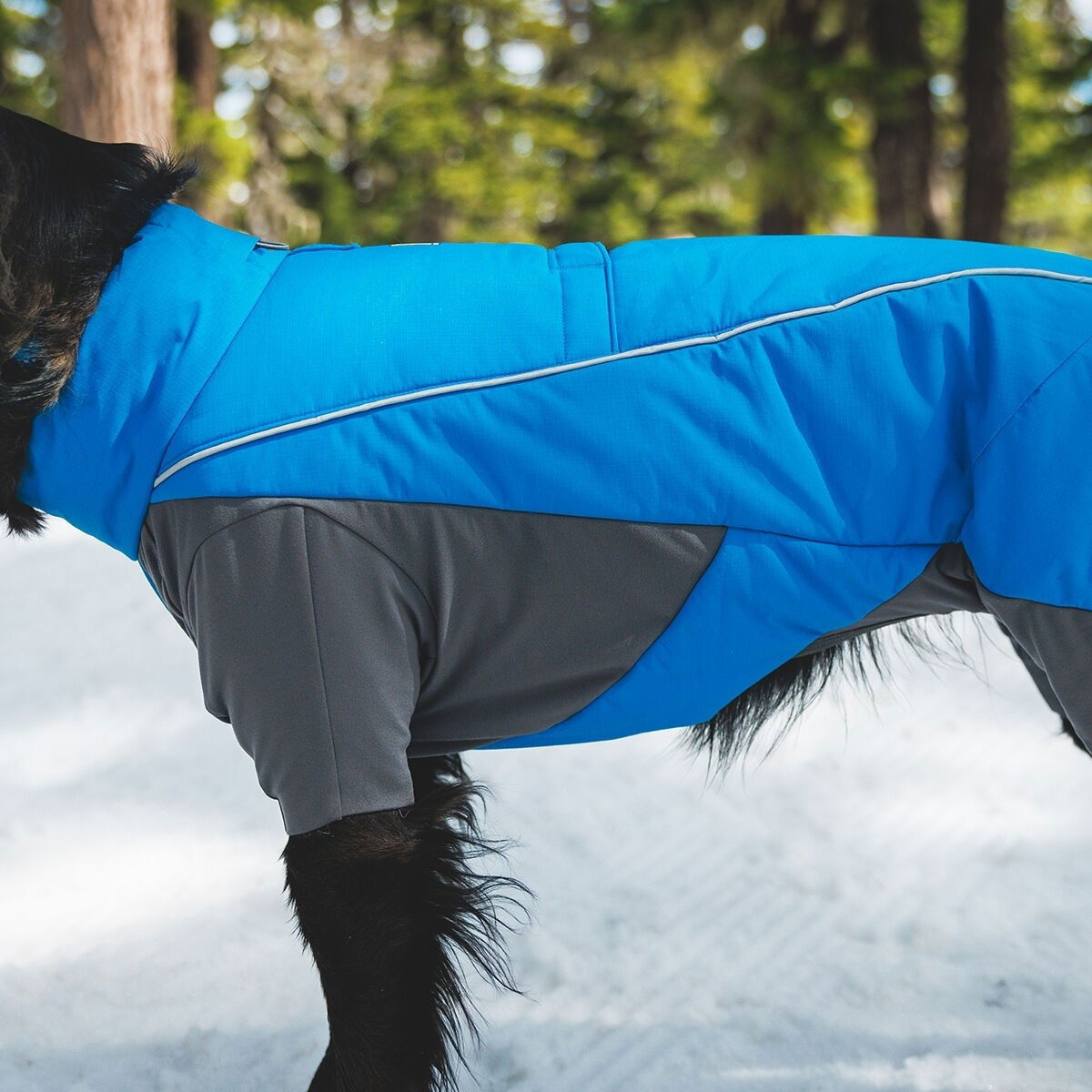 Ruffwear Vert Coverall Blue Pool