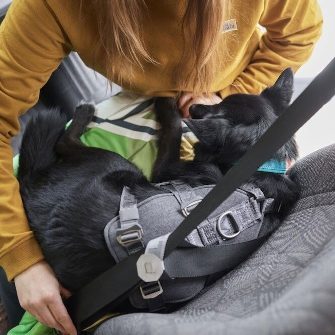 Hurtta Travel Harness ECO blackberry
