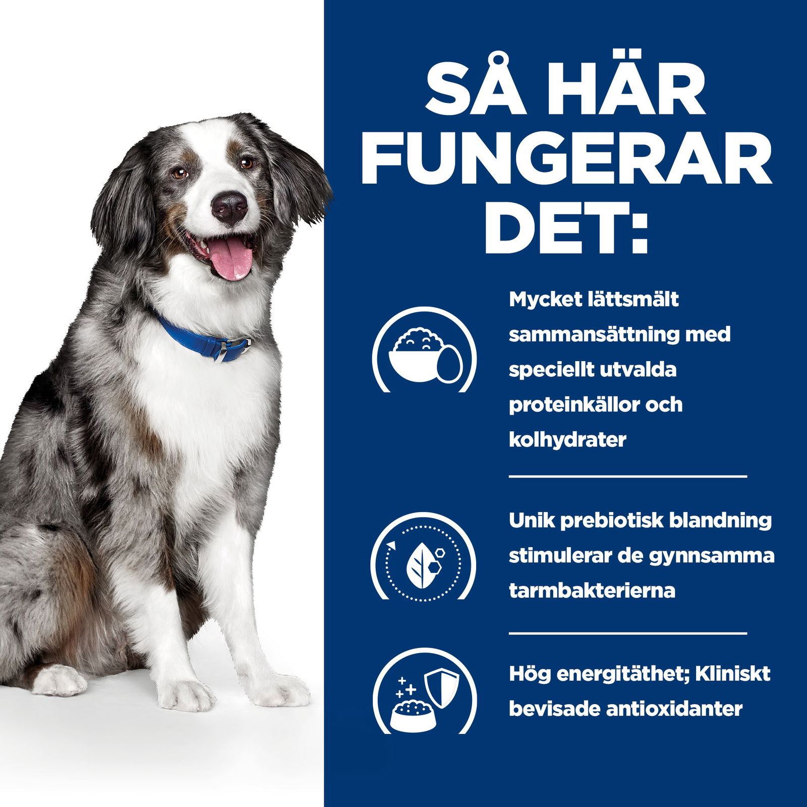 Hill's Diet Dog i/d Sensitive Egg and Rice