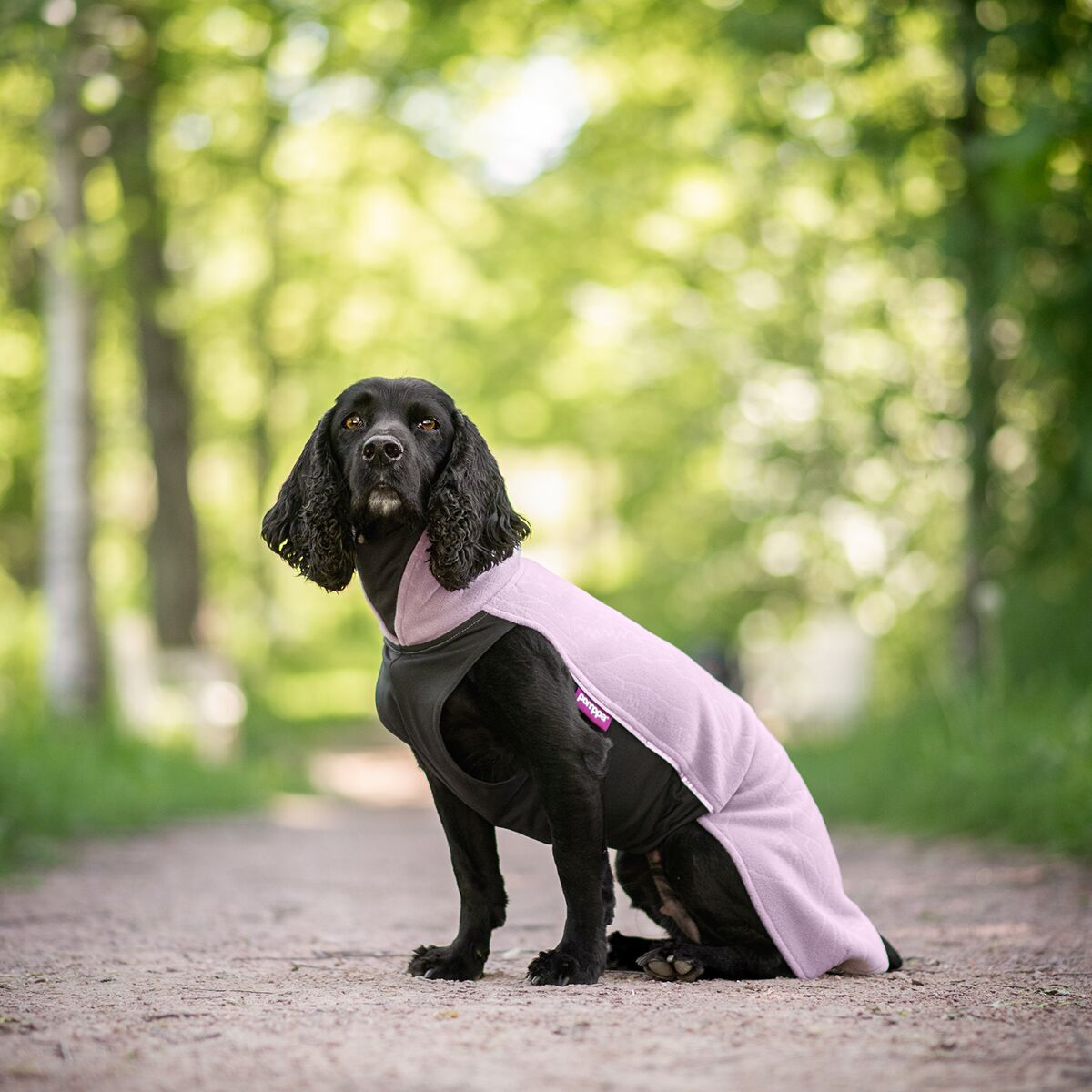 Pomppa Jumppa Fleecetäcke till Hund Elderberry