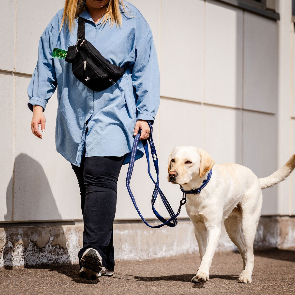 Feel Active Tour snack bag with poop bag holder black