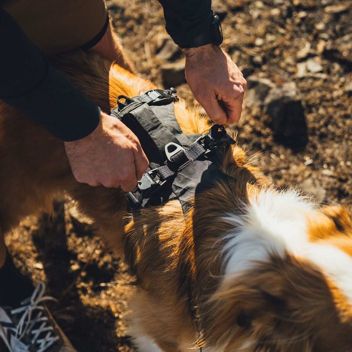 Ruffwear Ridgeline Harness Obsidian Black