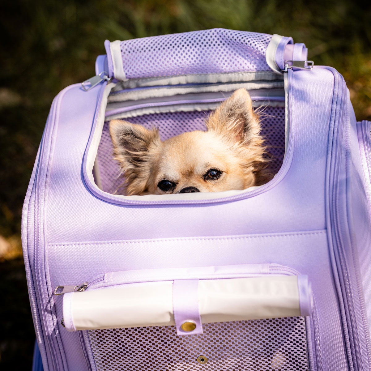 Feel Active Tour expandable backpck lavender