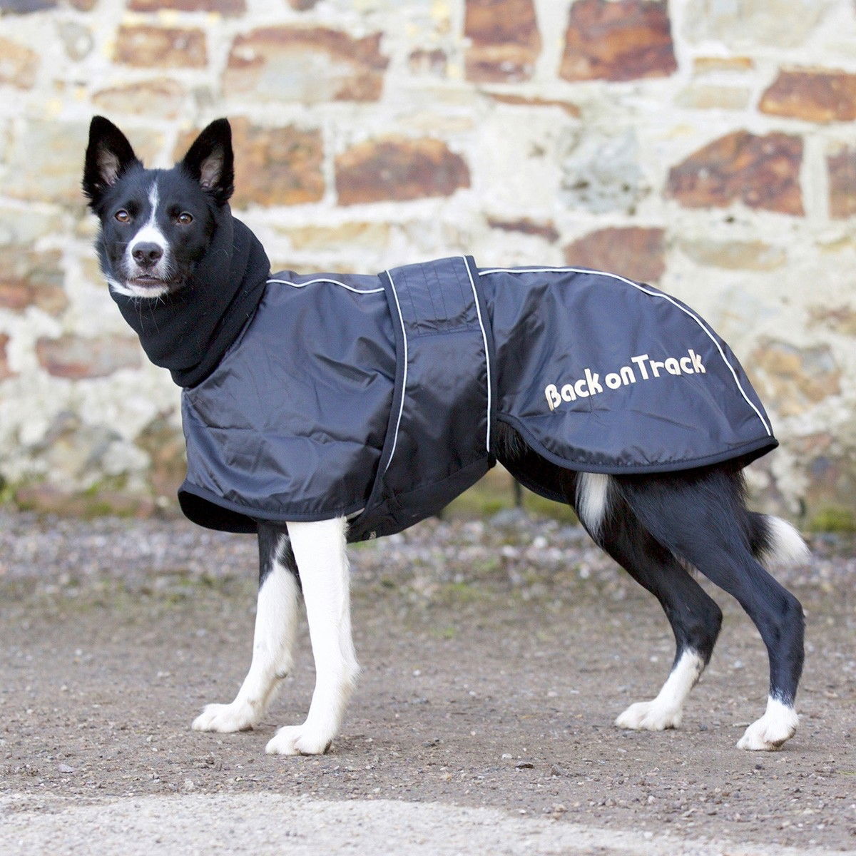 Back on Track Whippet Rug, Svart