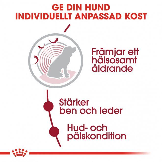 Royal Canin Medium Ageing 10+ torrfoder för hund