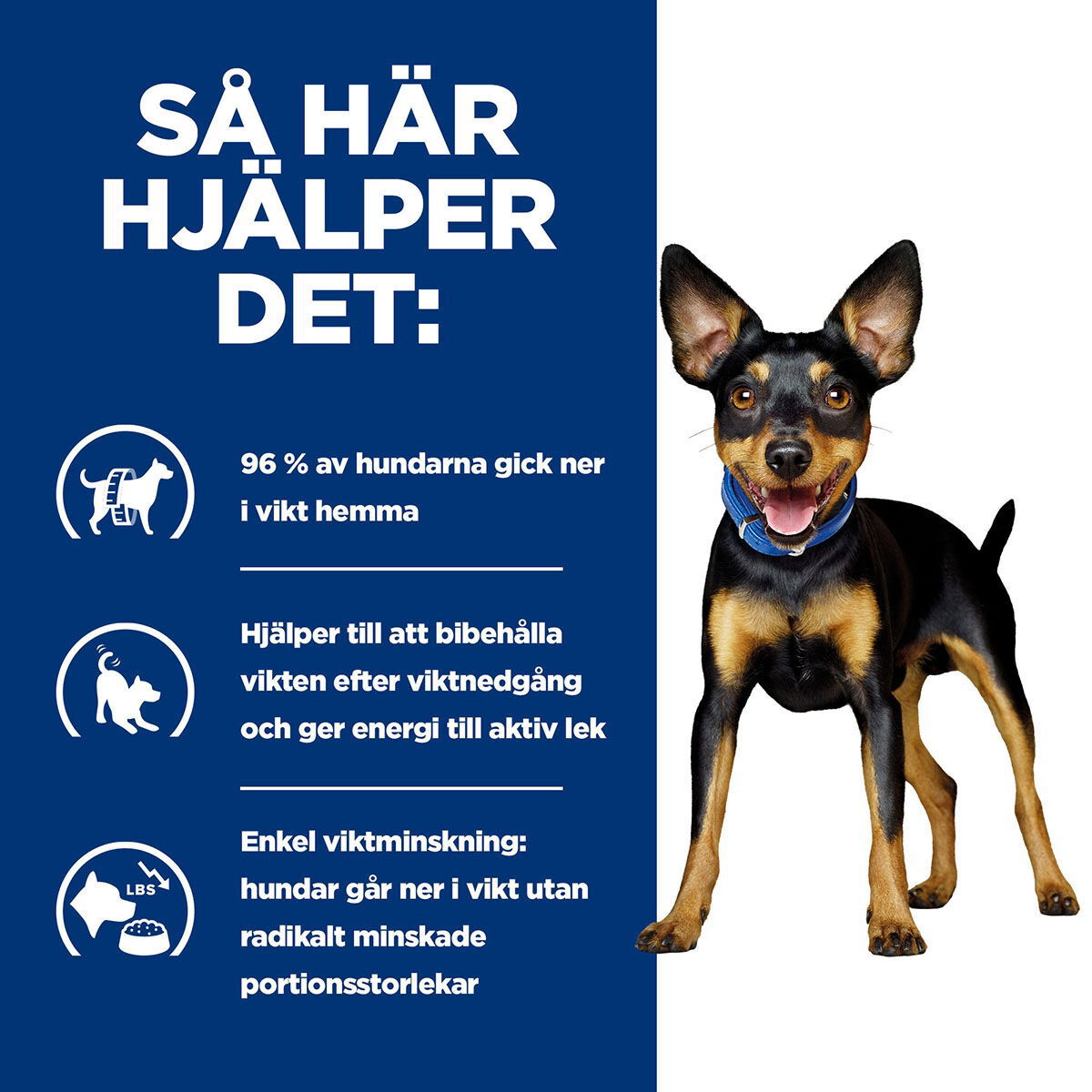 Hill's PD Canine Metabolic Mini Stew Chick&Veg 156g