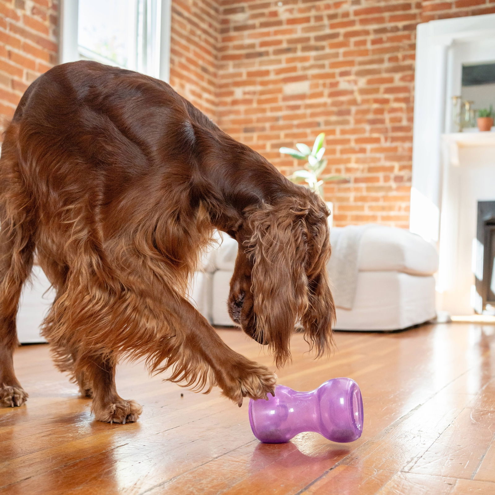 Nina Ottosson Outward Hound Double Snoop purple