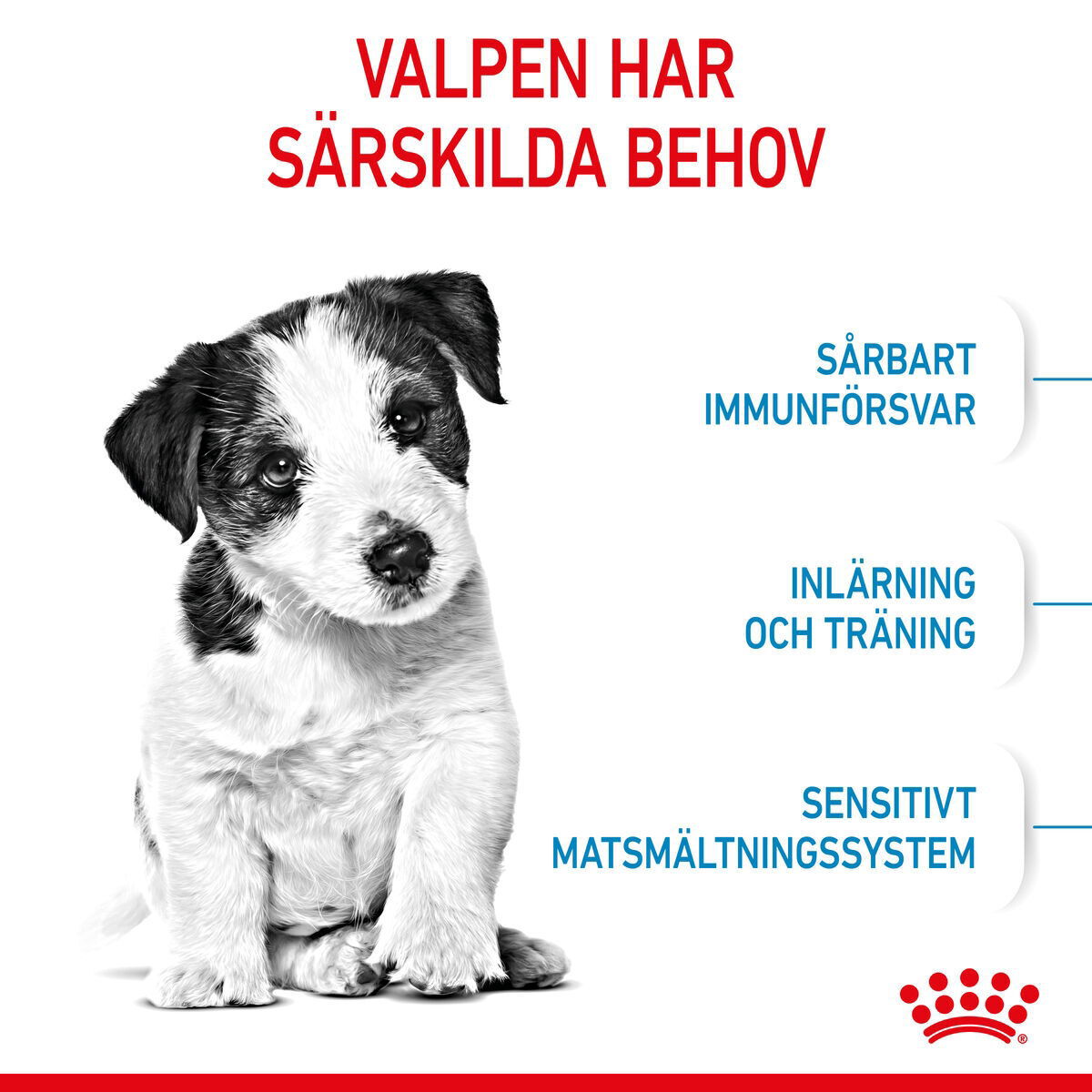 Royal Canin Mini Puppy torrfoder för hundvalp