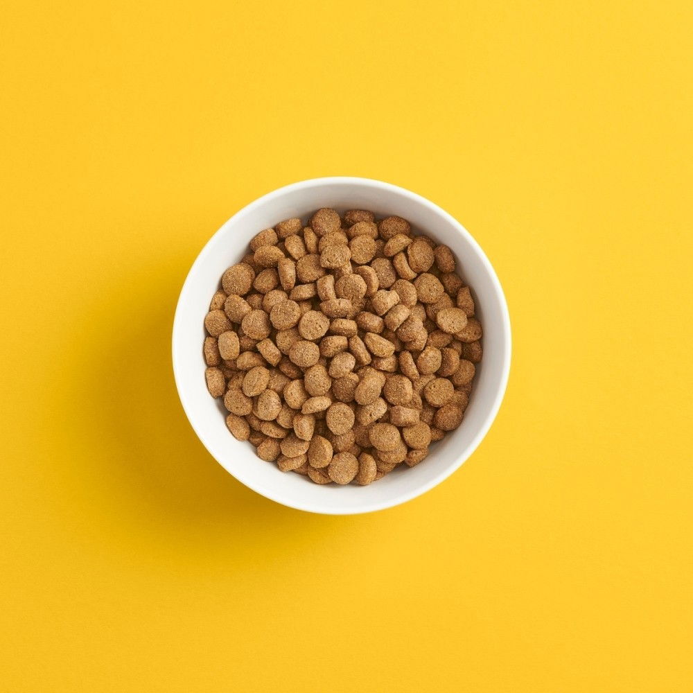 Smaak Dog Adult Chicken