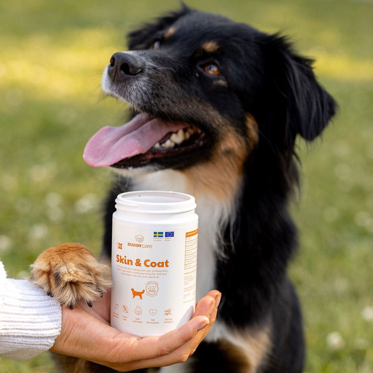 BuddyCare Skin & Coat 150g