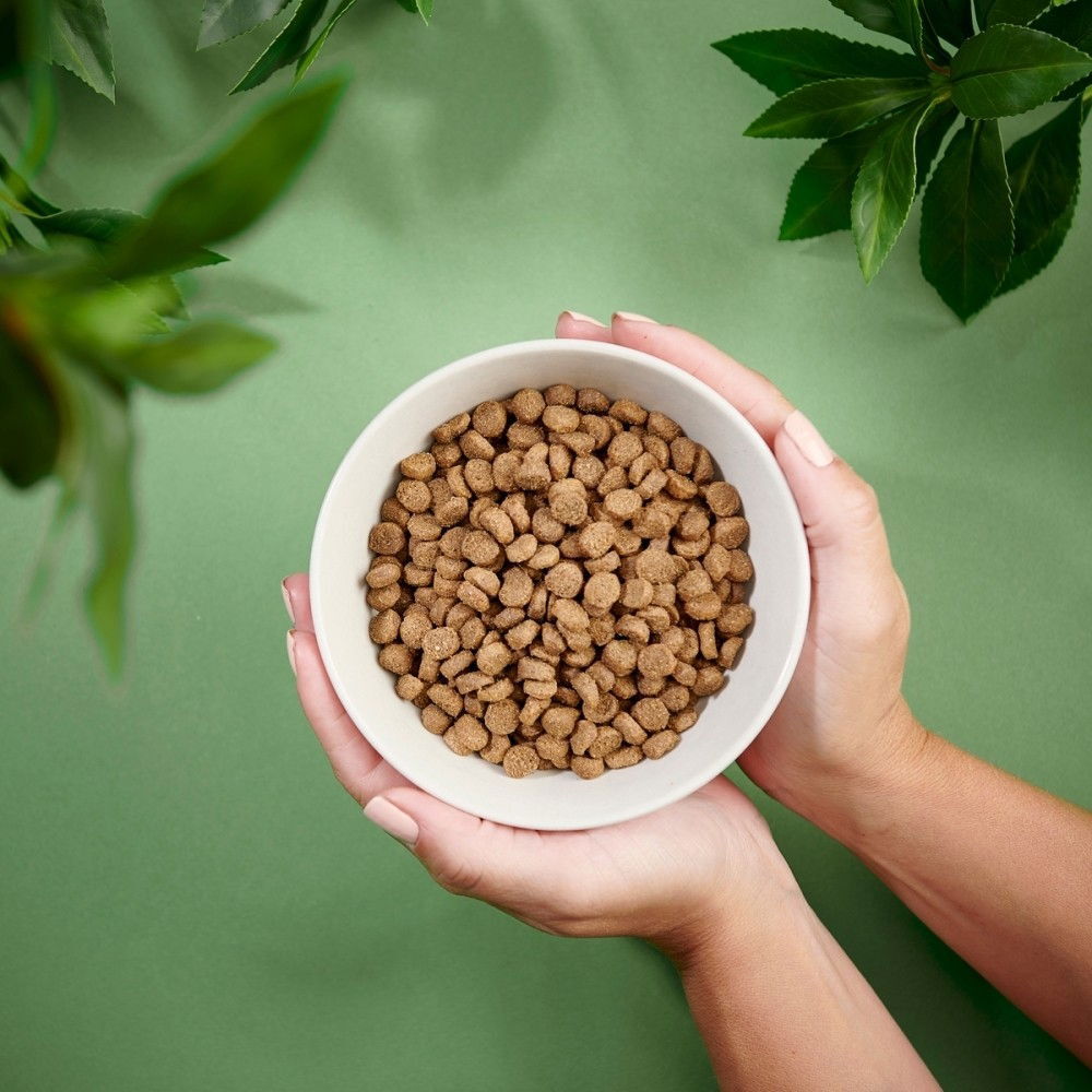 Purenatural Dog Adult Mini