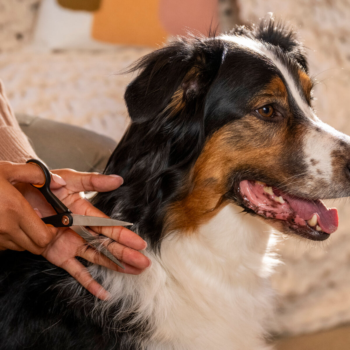 Fiskars trimming scissors