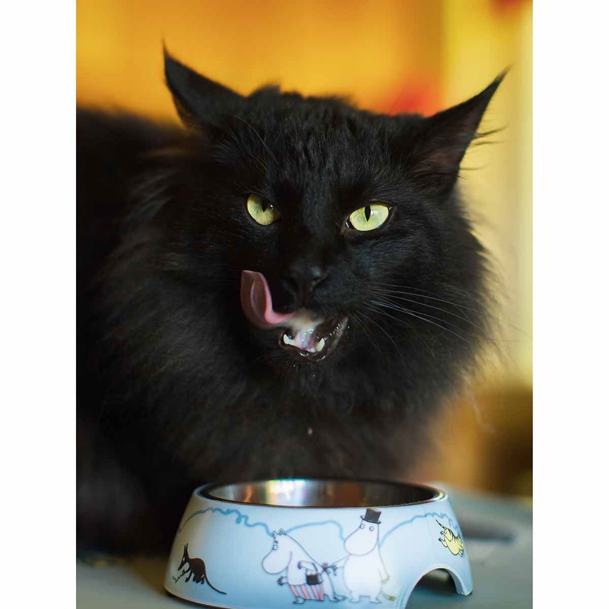 Moomin for Pets food bowl S