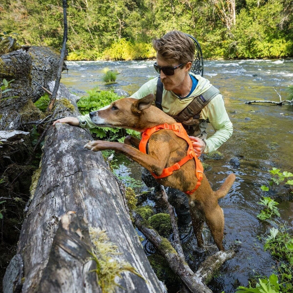 Ruffwear Web Master harness, Blaze Orange