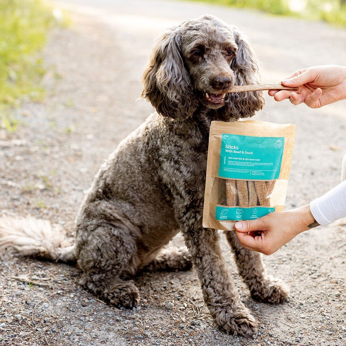 Buddy Dental Chew Duck 100g