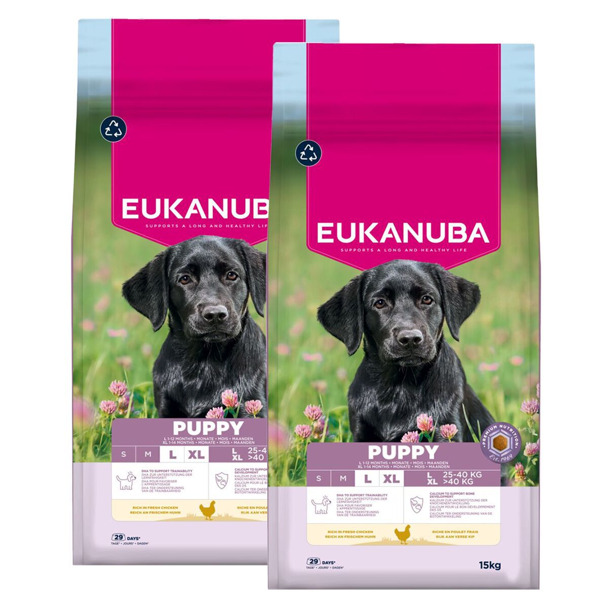 Eukanuba Dog Puppy Large 2 x 15kg