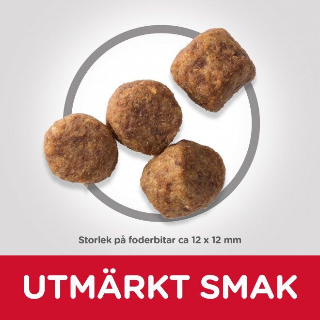 Hill's Science Plan Dog Mature 7+ Chicken