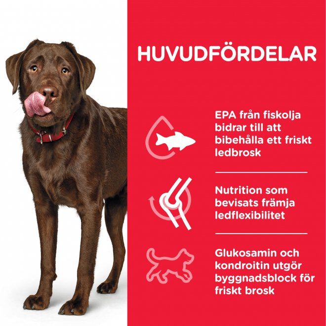 Hill's Science Plan Dog HM Large Breed Chicken