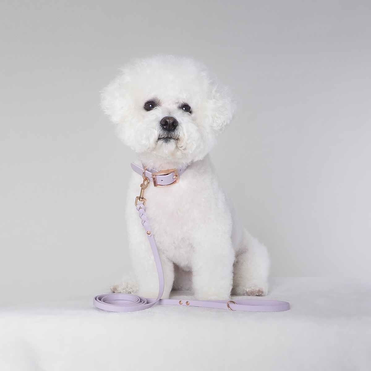 Tyylivoitto Classy narrow collar, lavender