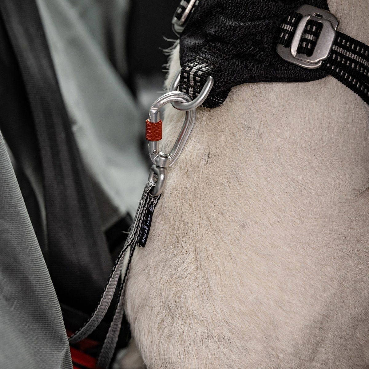 Feel Active Car Heavy Duty seatbelt tether L