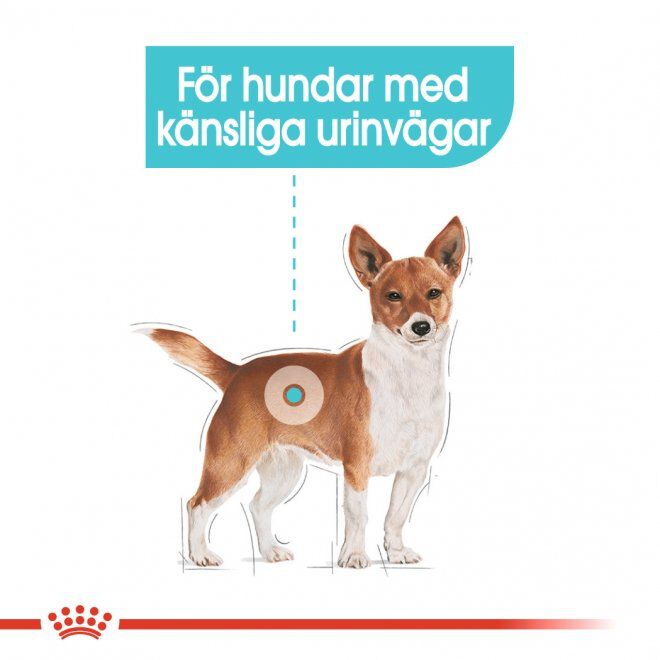 Royal Canin Urinary Care Mini Adult torrfoder för hund