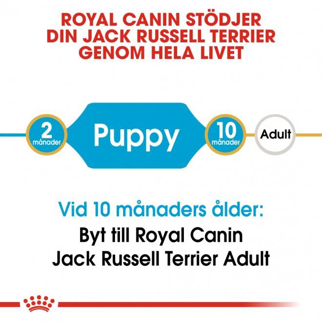 Royal Canin Jack Russel Puppy torrfoder för hundvalp