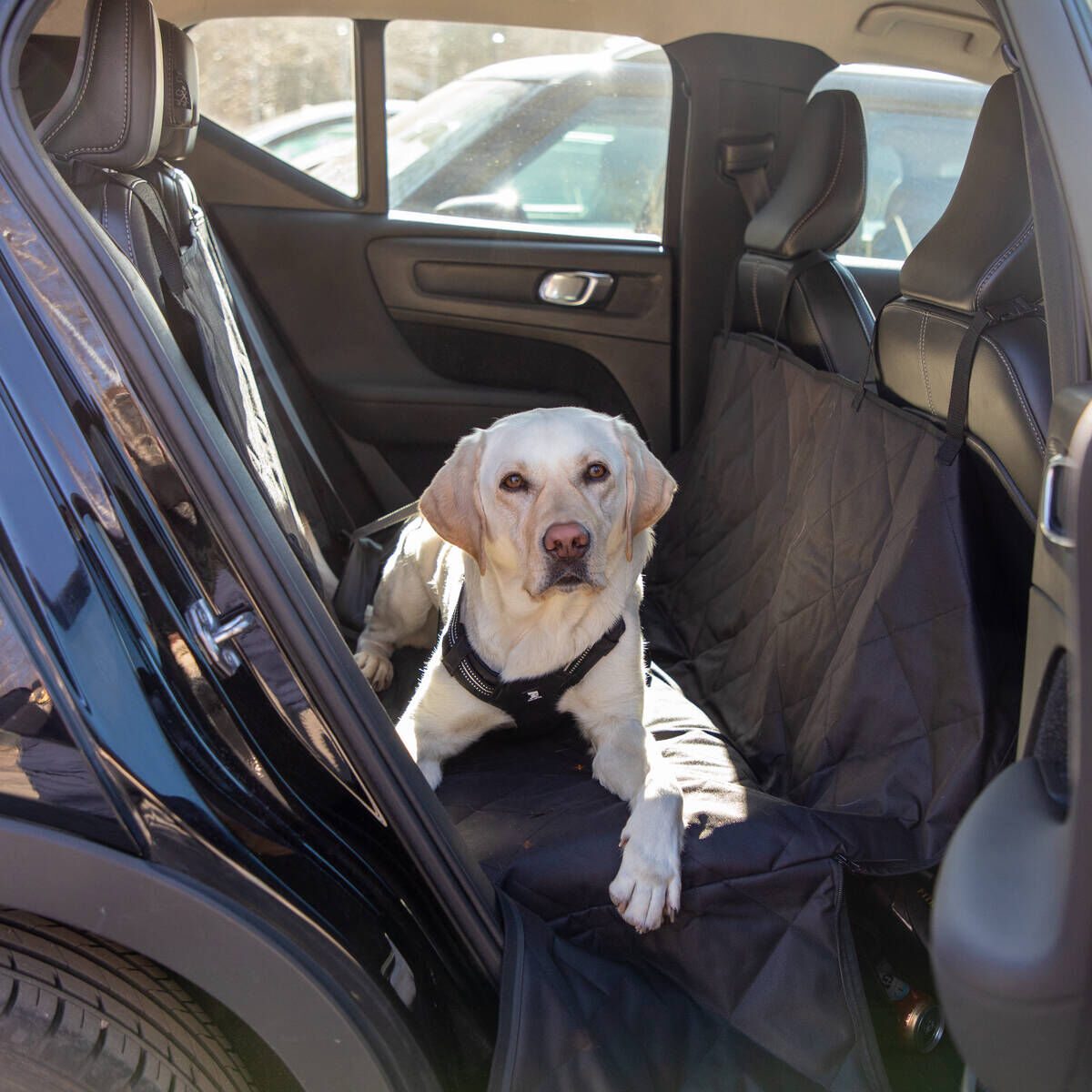 Feel Active Bilhammock Skydd f&ouml;r Baks&auml;te/Bagage Vattent&aring;ligt Svart 144 x 136 cm