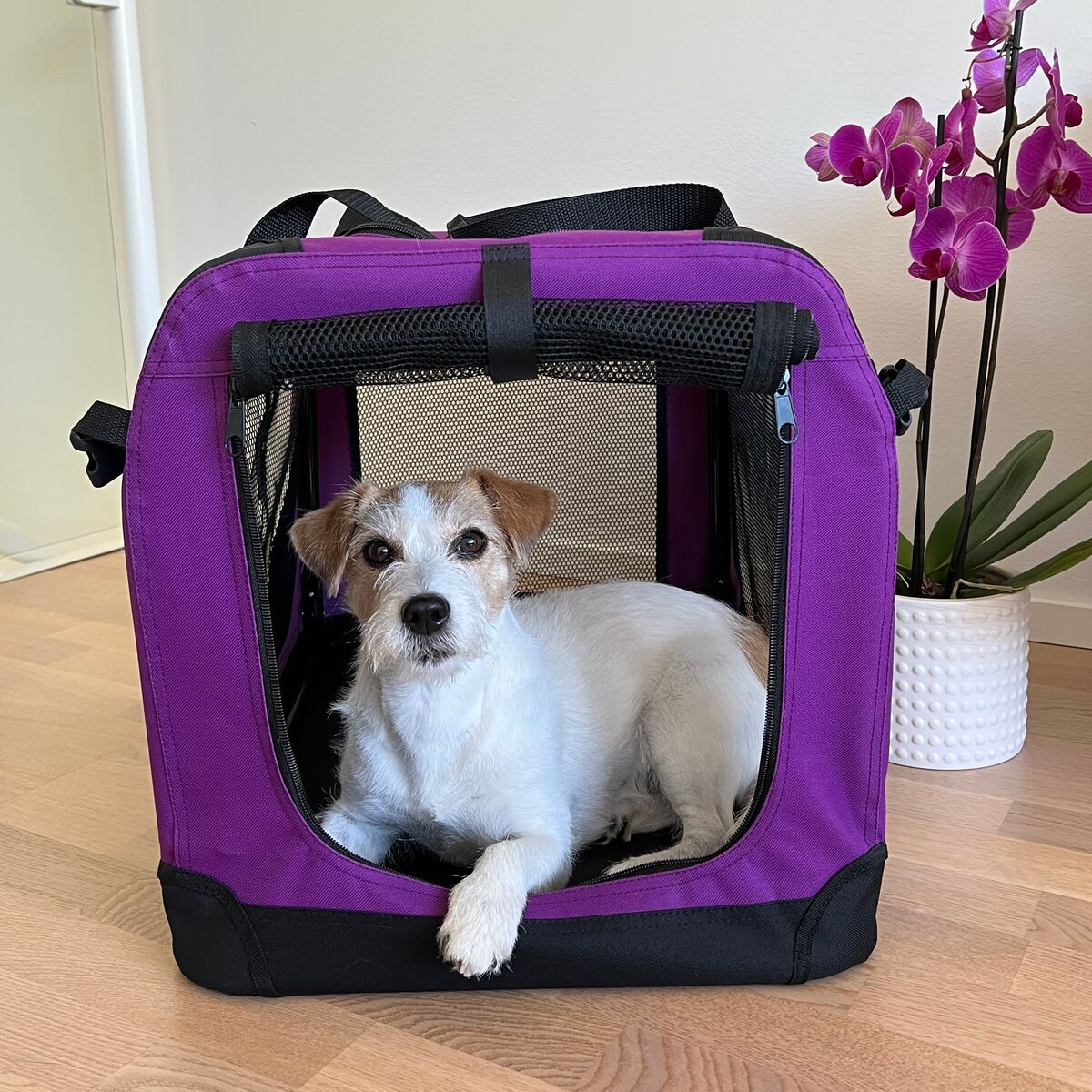 PetEasy Soft Crate Violet VZ