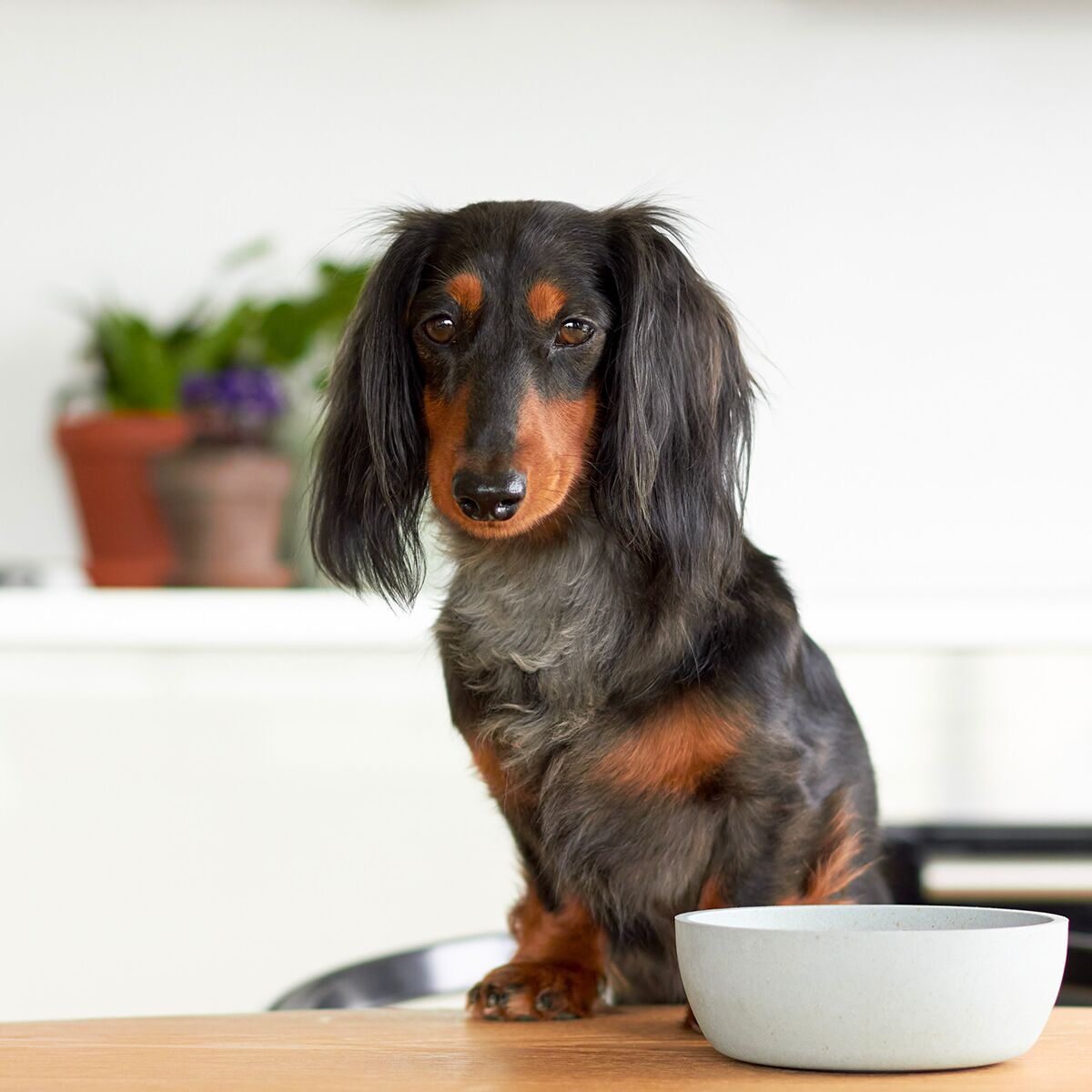 Bamboo bowl District 70, Beige 