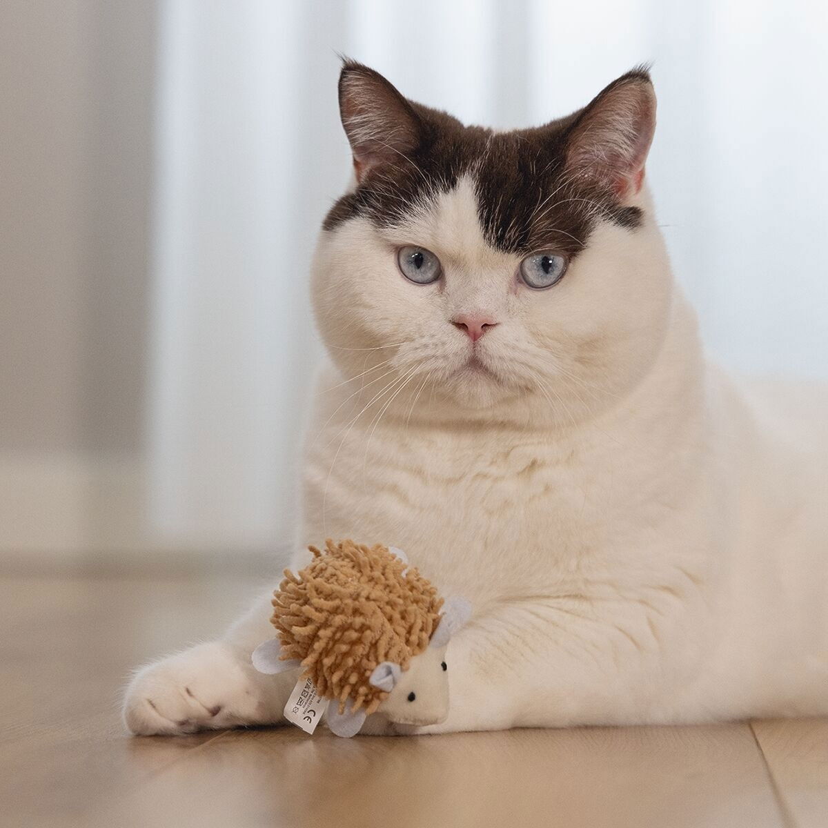 Beeztees Eco Cat Hedgehog Mozi